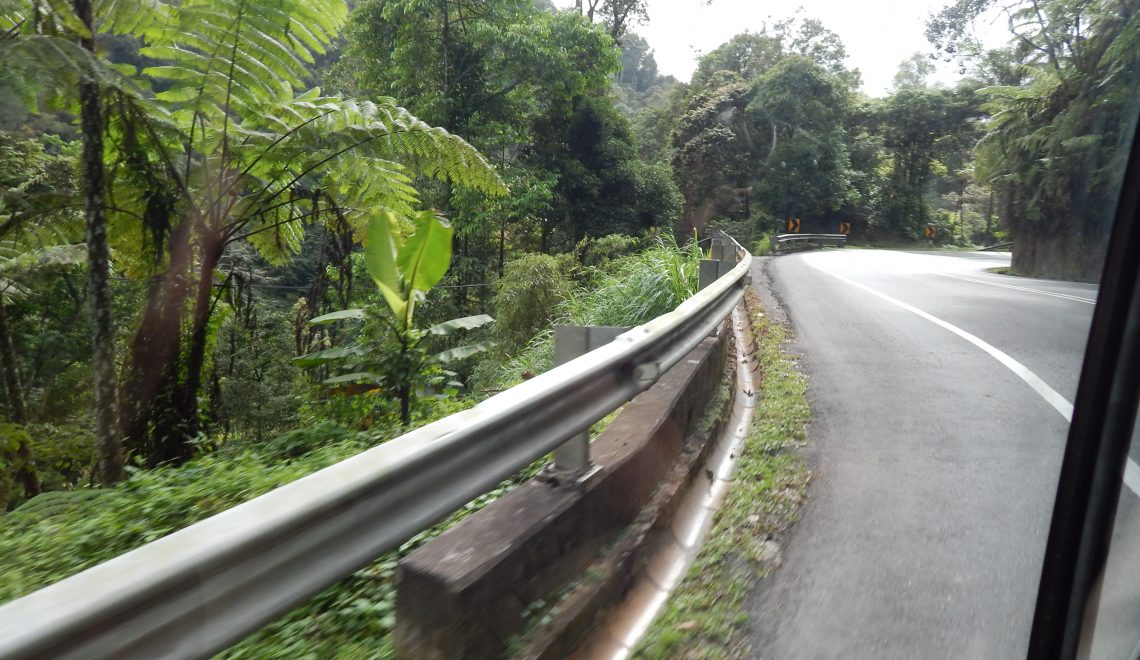 Winding roads at the Cameron Highlands