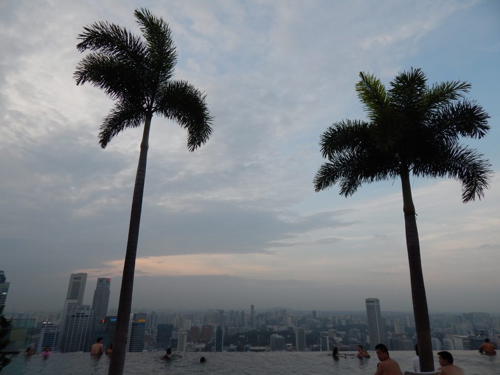 Marina Bay Sands infinity pool palm trees