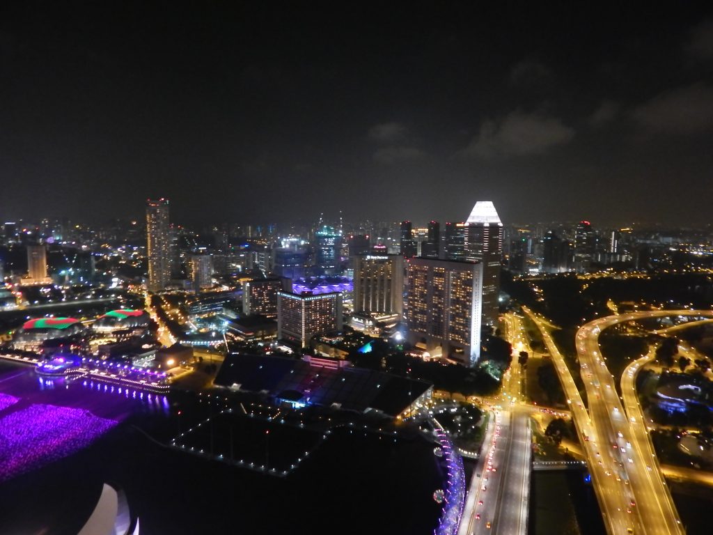 View at night from Marina Bay Sands Skypark