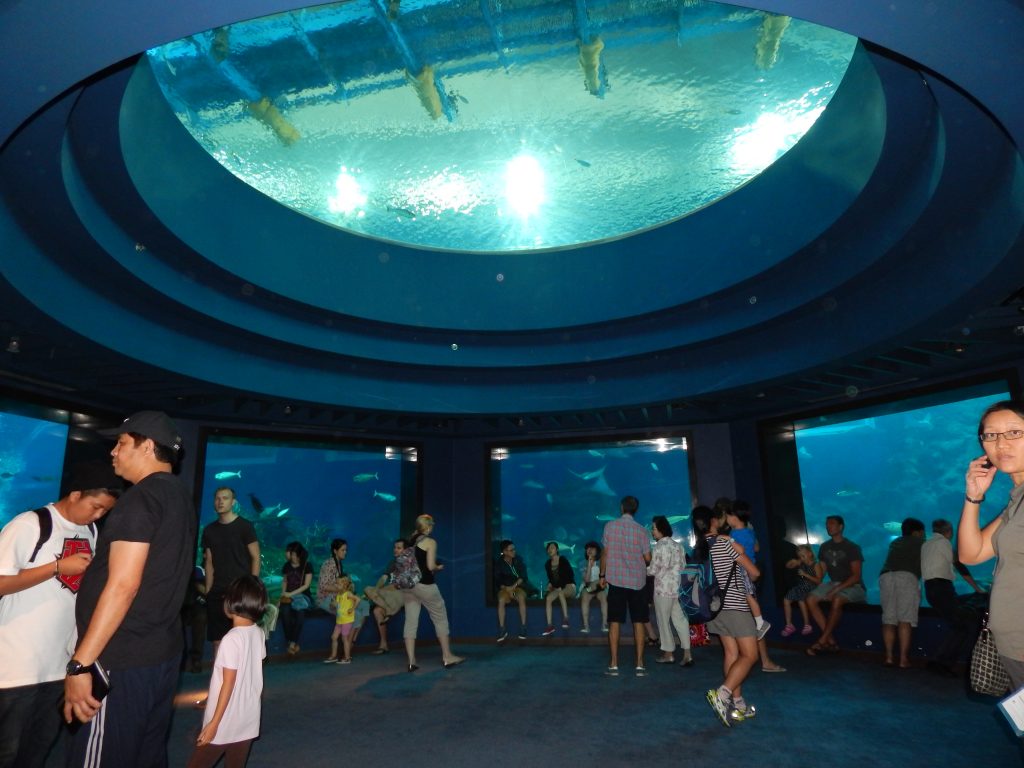 Inside S.E.A. Aquarium, Sentosa Island