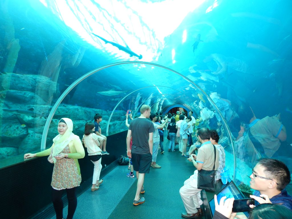 Beautiful tunnel at S.E.A. Aquarium