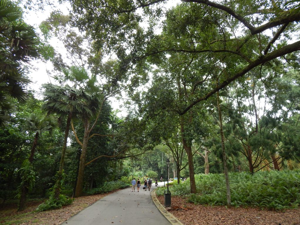 Singapore's Botanical Gardens