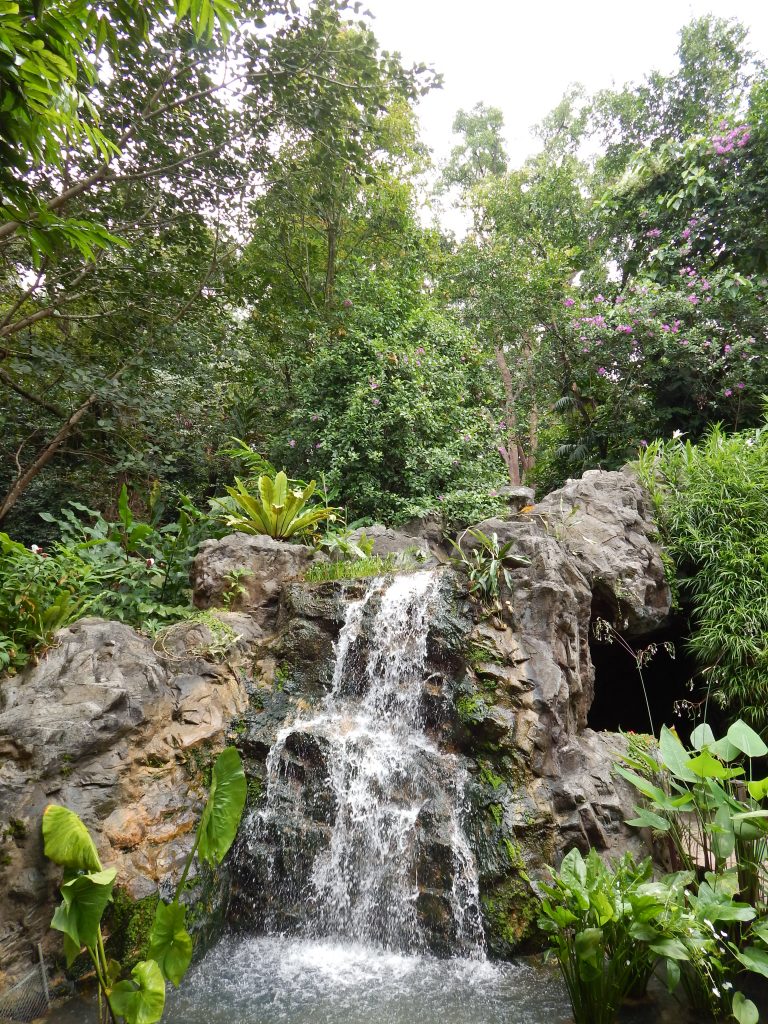 A waterfall at Singapore's Botanical Gardens