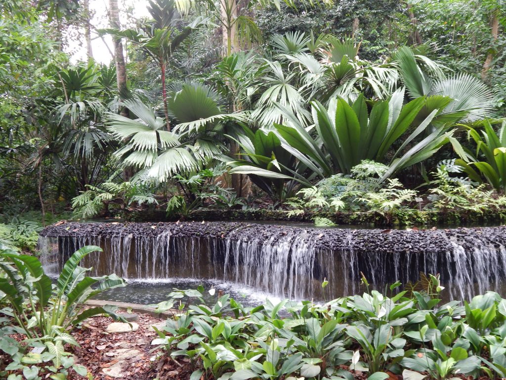 Beautiful widely waterfall at Singapore's Botanical Gardens