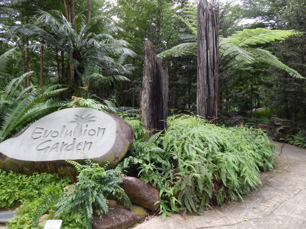 Evolution Garden entrance at Singapore's Botanical Gardens