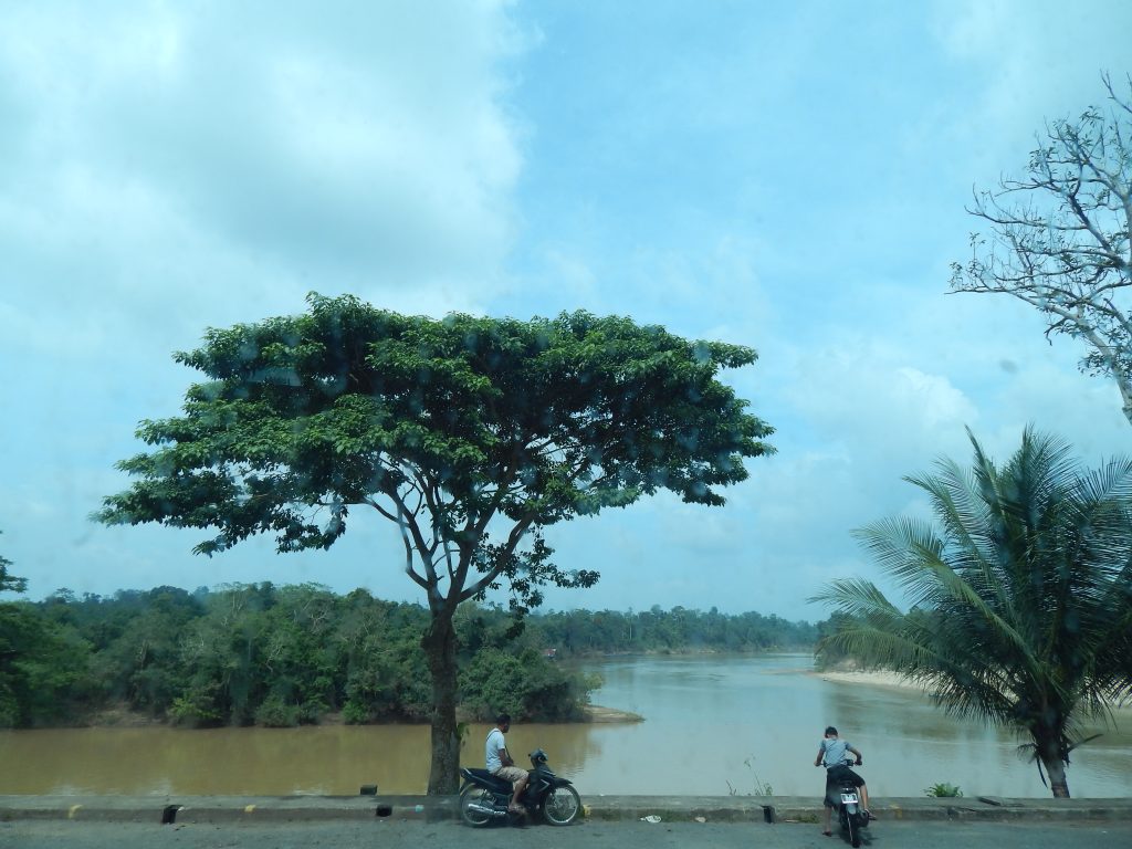 Kampung Kuala Tembeling with a view on Tembeling River