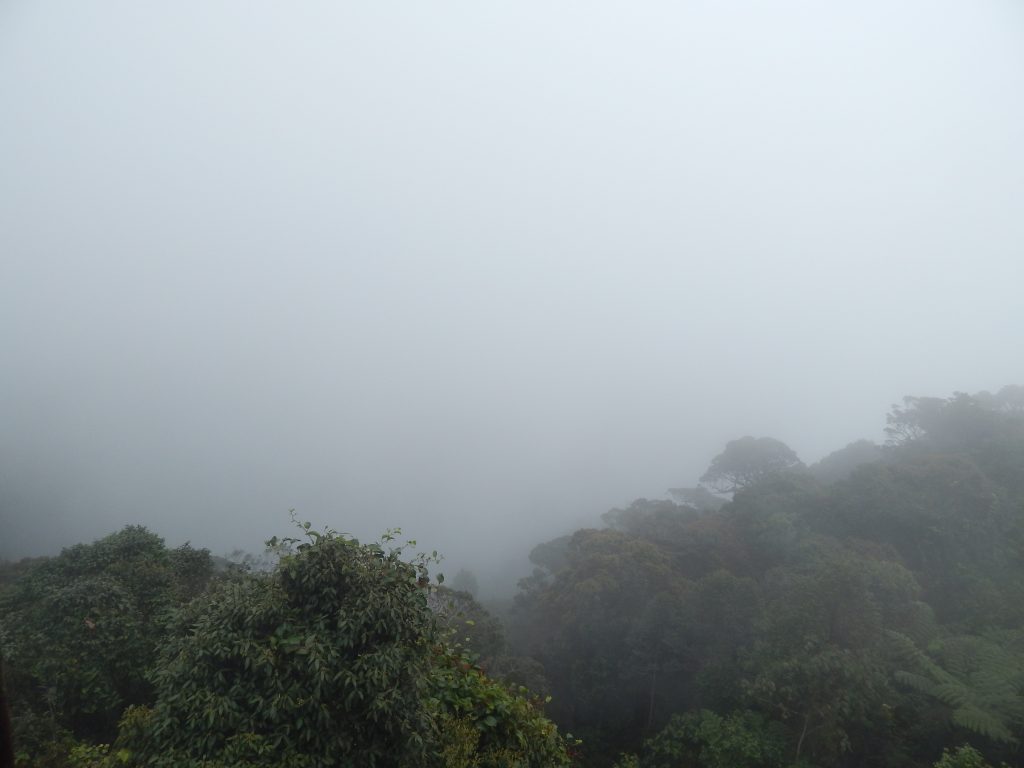 A few trees nearby are visible due to the clouds.