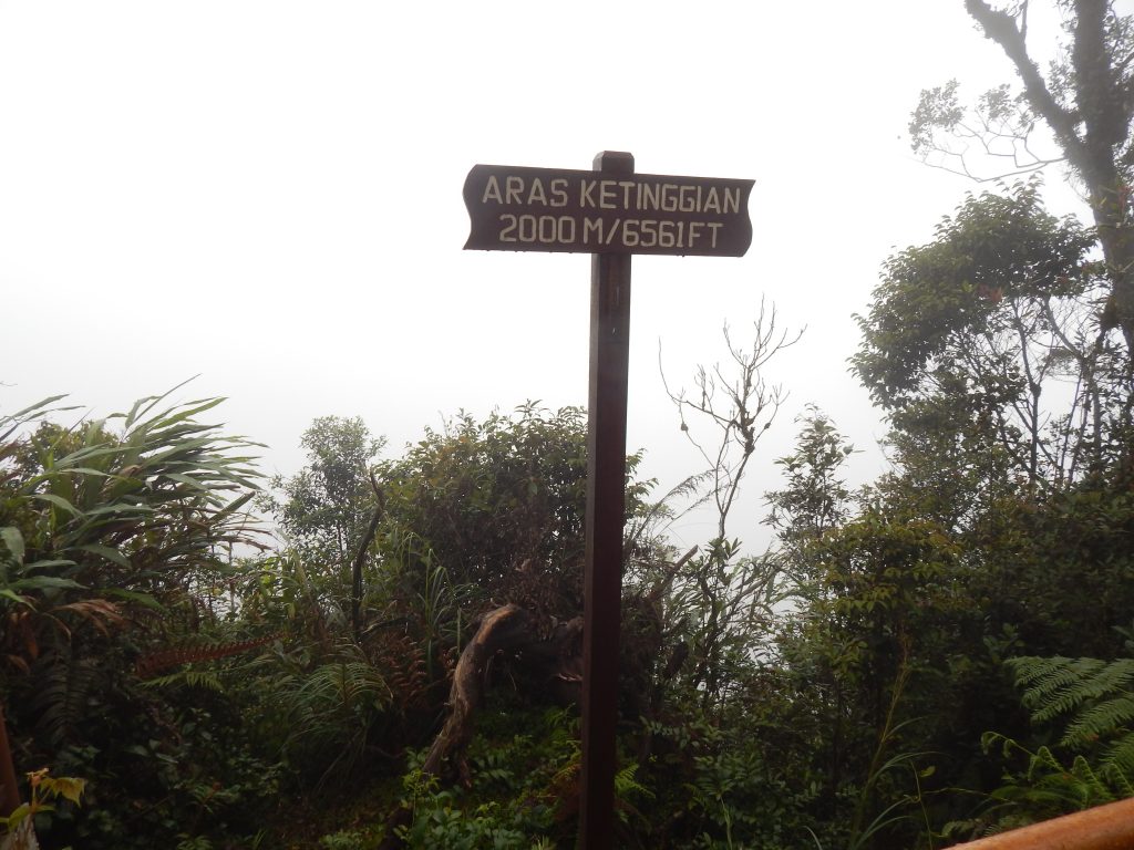 A signpost of the altitute, 2000m, inside the Mossy Forest at Cameron Highlands