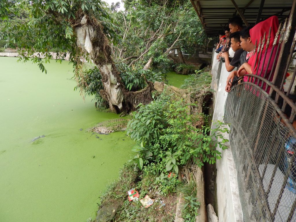 Crocodile lake and fence at the crocodile farm in Medan