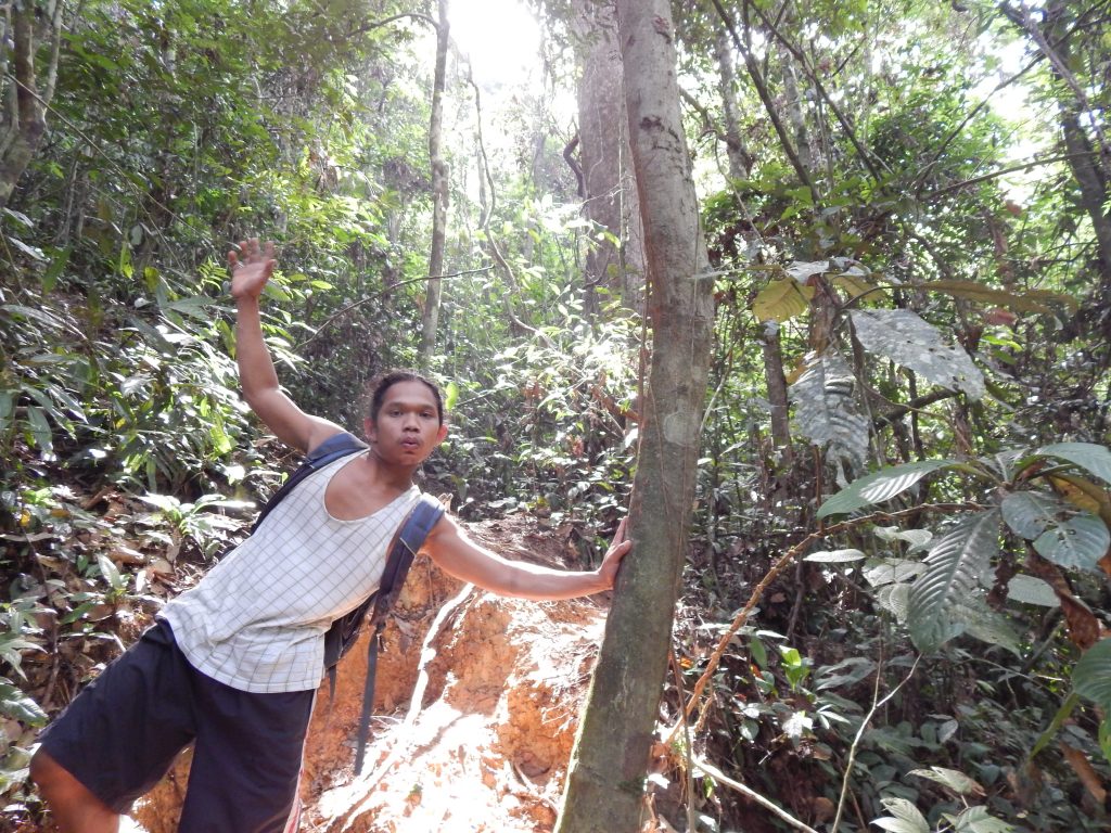 Tour guide Putra showing us the jungle of Bukit Lawang