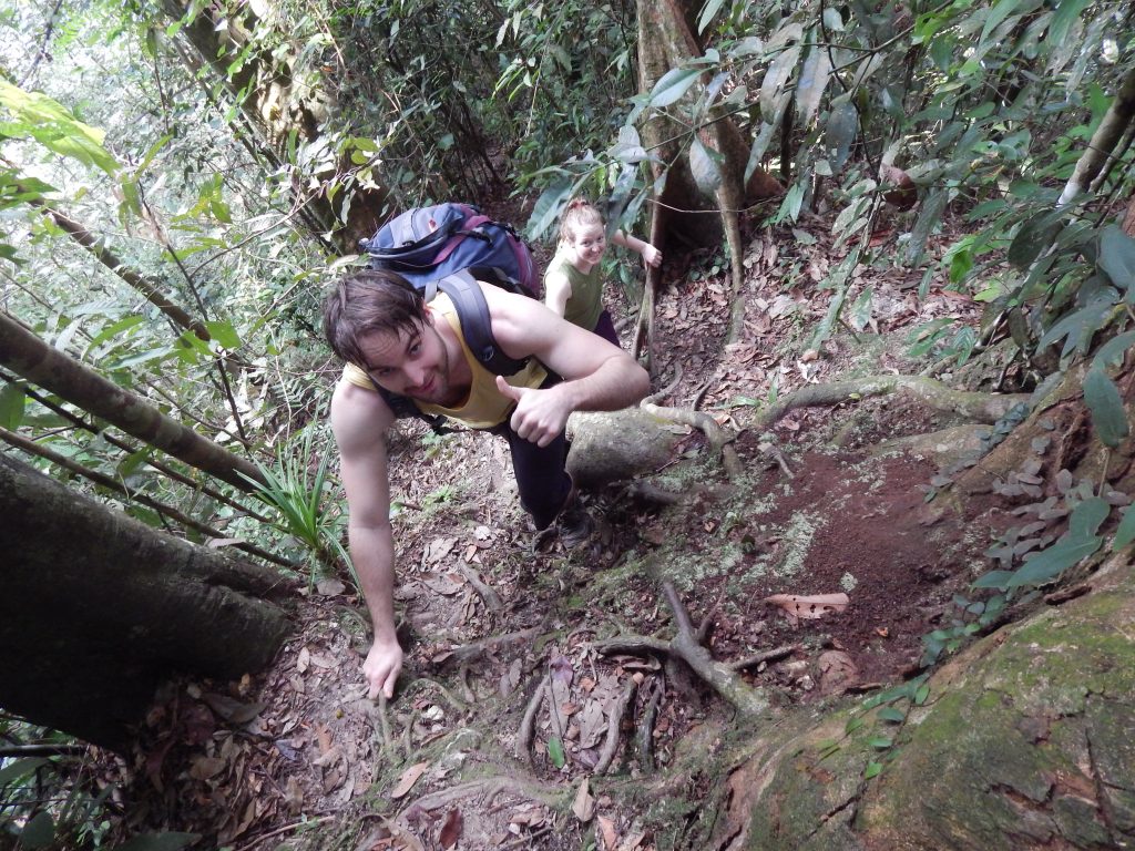 Jamie climbing in the jungle of Bukit Lawang