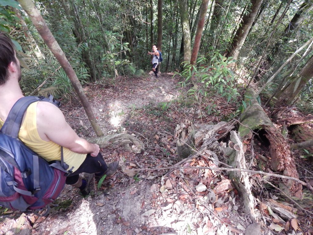 Hiking in the jungle at Bukit Lawang