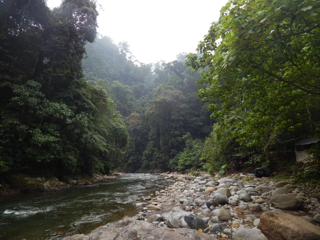 The river we would raft on back to Bukit Lawang