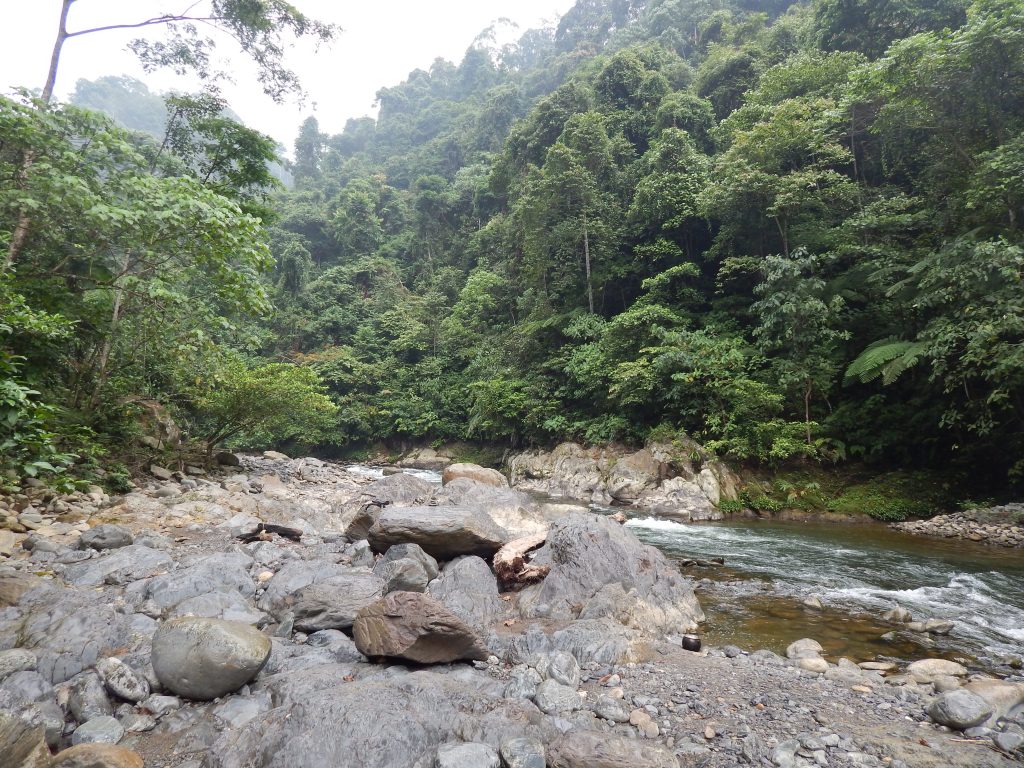 River at jungle base camp in Bukit Lawang