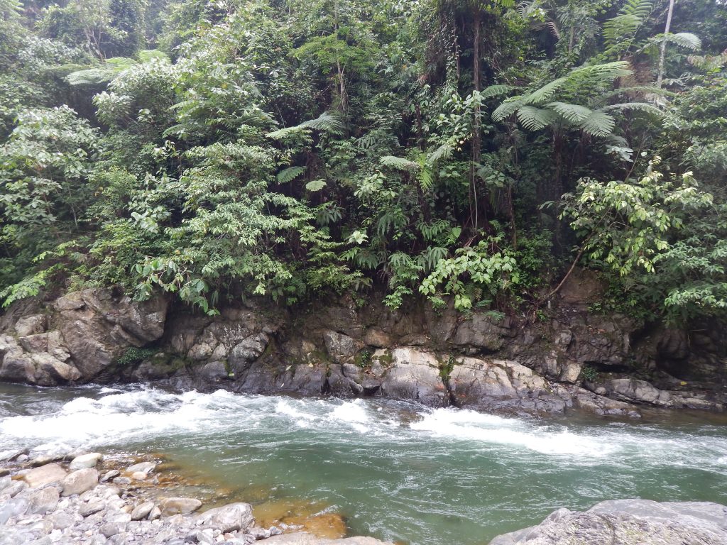 A roaring river at the base camp in Bukit Lawang