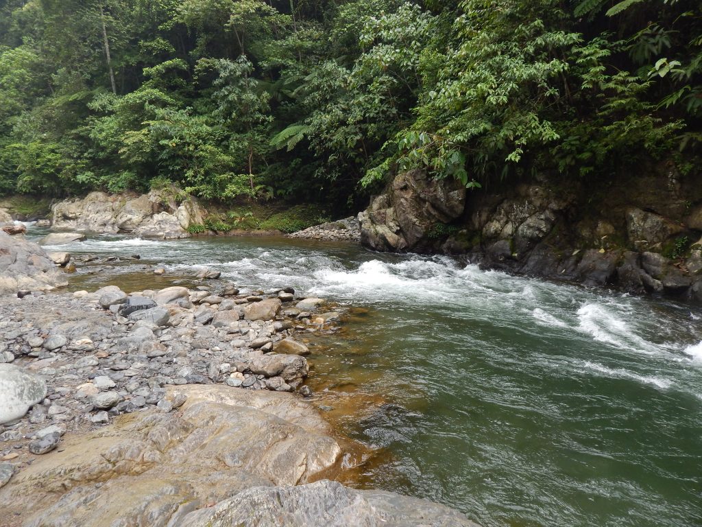 Rapids at the base camp in Bukit Lawang