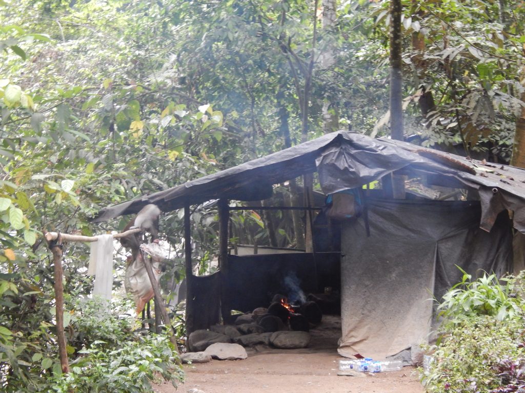 Kitchen hut at jungle base camp in Bukit Lawang