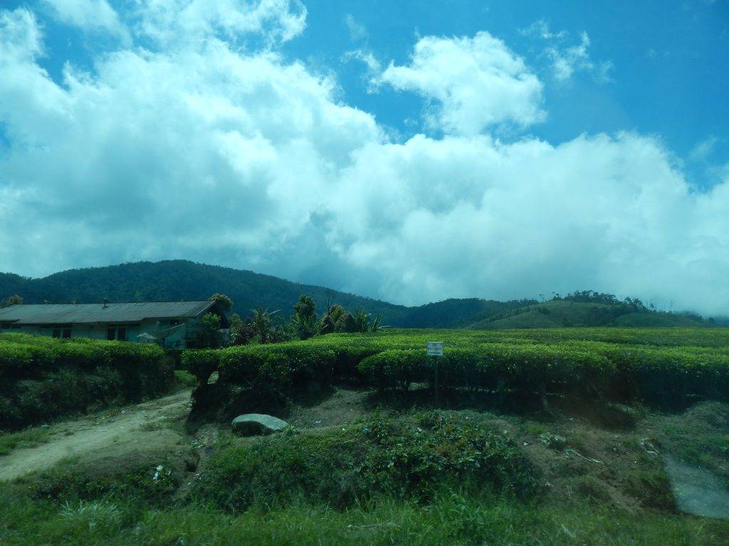 View during our journey from Bukittinggi to Kersik Tuo