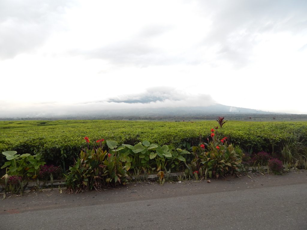Cloudy weather obscuring the view on Gunung Kerinci