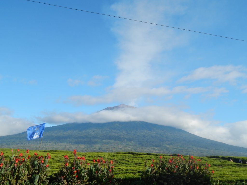 A view on Gunung Kerinci, Kersik Tuo