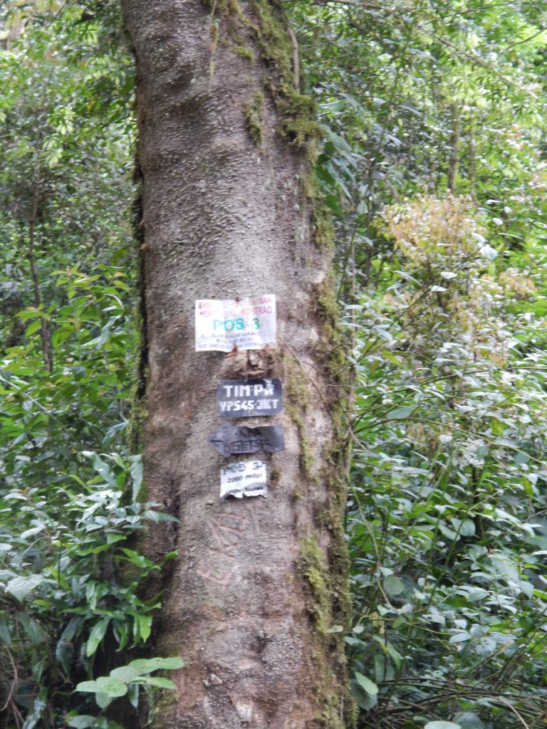 Sign of Pos 1 on the tree at Gunung Kerinci's trail