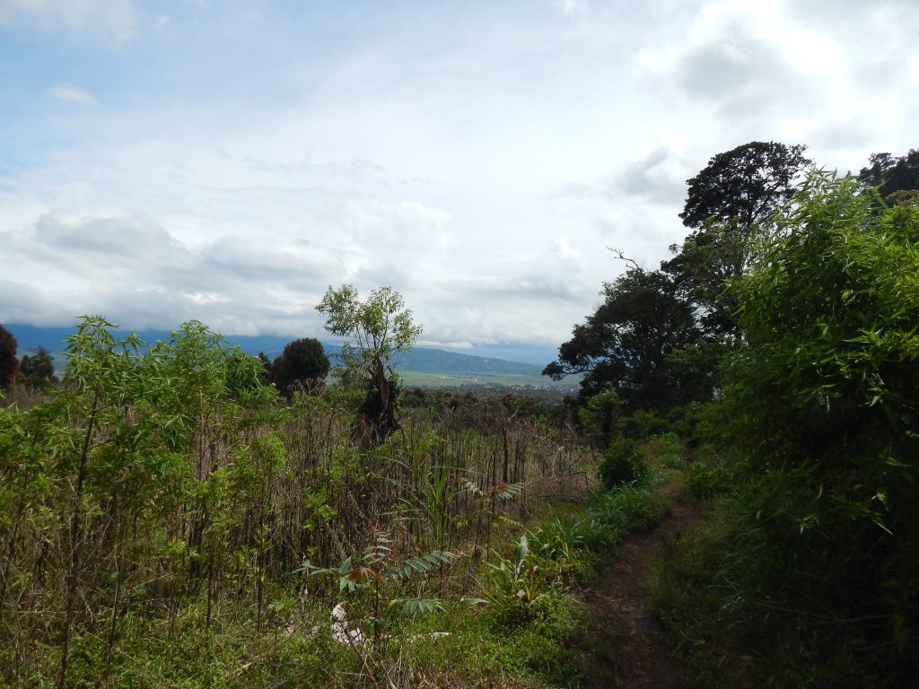 Agriculture fields next to the entrance of Gunung Kerinci's trail