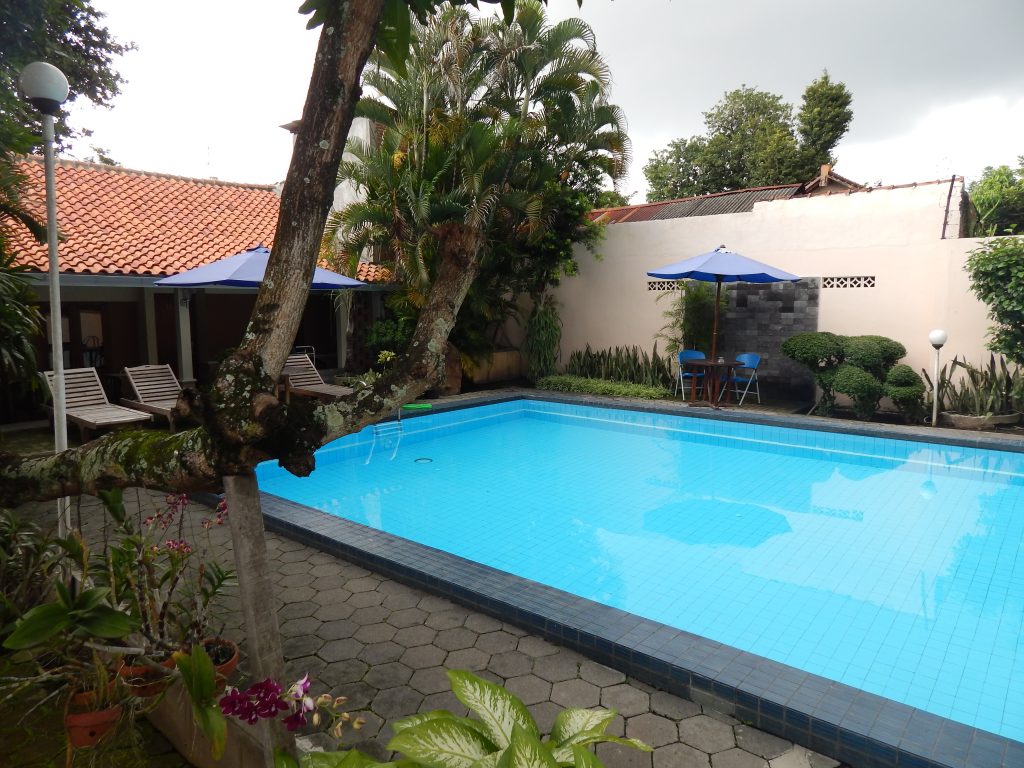Swimming pool at Tropis Homestay, Yogyakarta