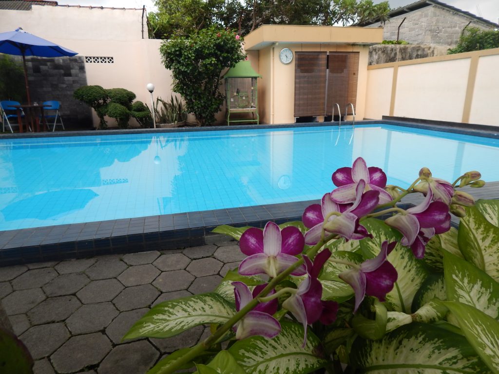 Swimming pool at Tropis Homestay, Yogyakarta