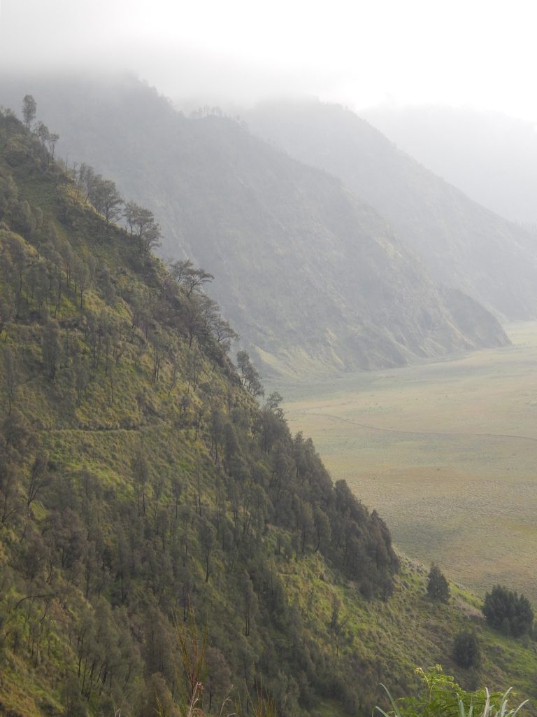 Slopes at the Mount Bromo valley