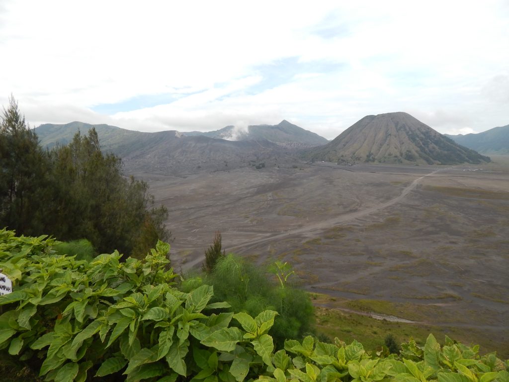 View of Bromo and Batok from Ngadisari 