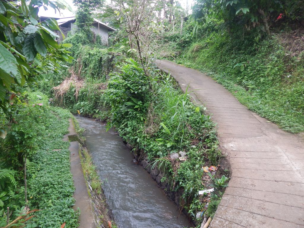 Trail towards the Sekumpul Waterfalls