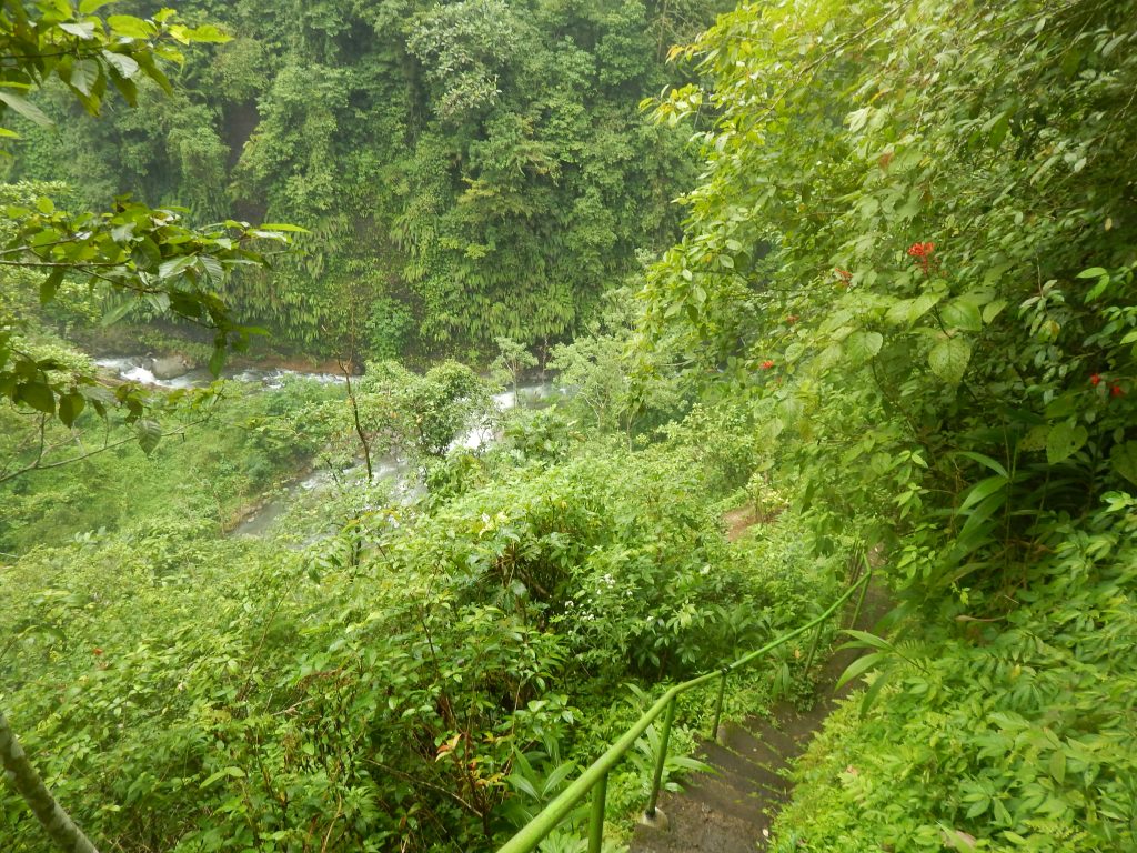Stairs down to the river at Sekumpul Waterfalls