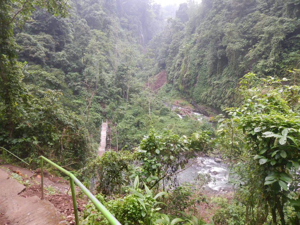 Wooden bridge at Sekumpul Waterfalls