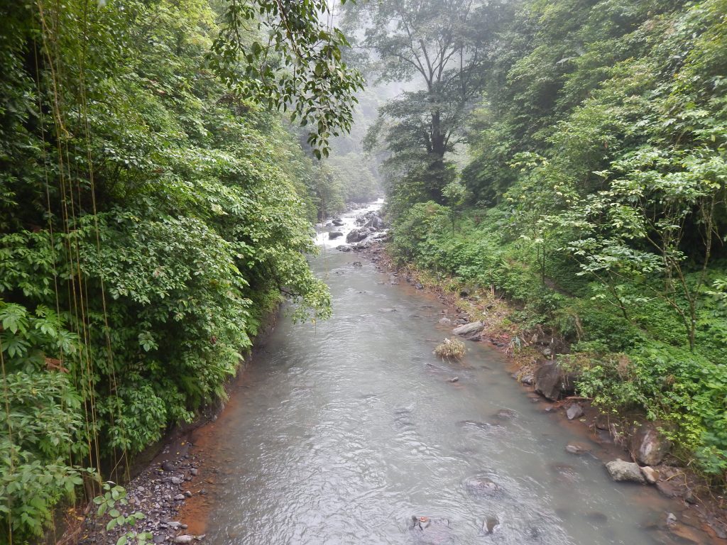 River at Sekumpul Waterfalls