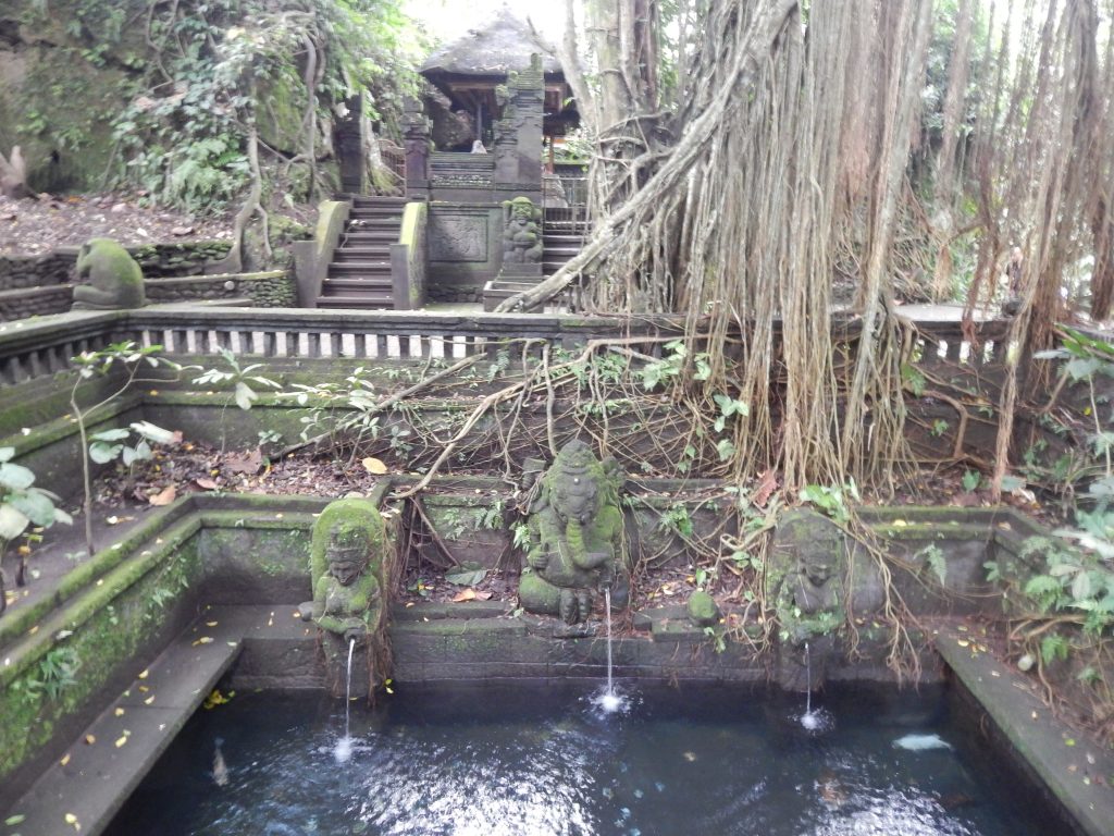 Cool pond in Monkey Forest, Ubud