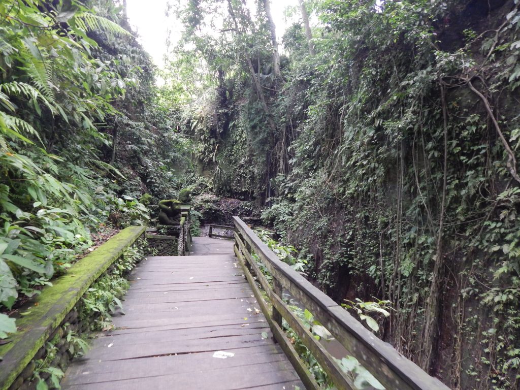 bridge in Monkey Forest, Ubud