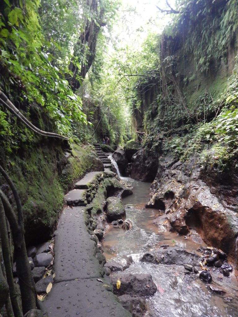 river running through Monkey Forest, Ubud