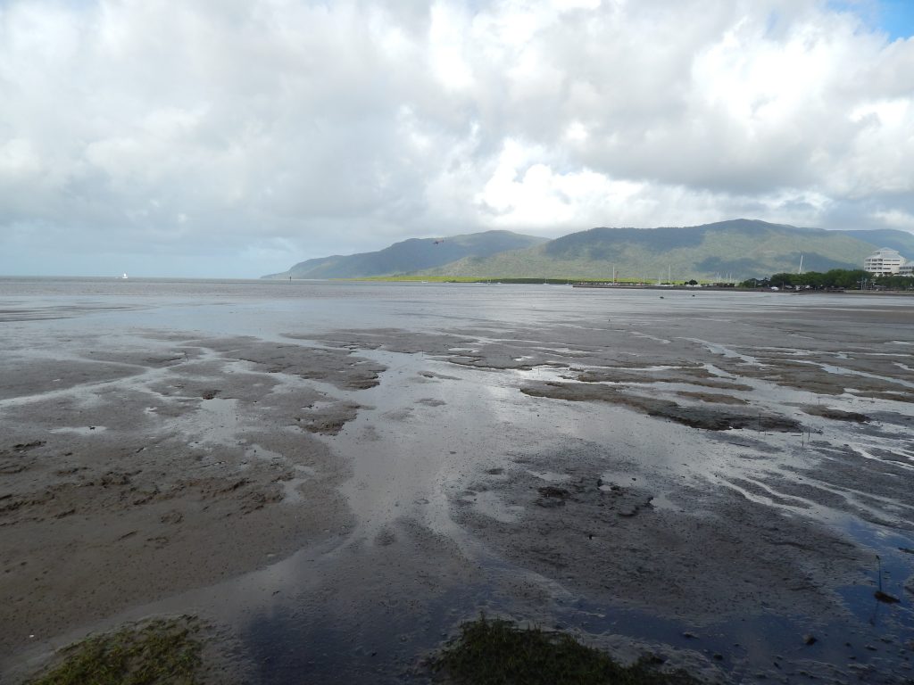 Drained cove in front of Cairns, Cairns Esplanade Lagoon