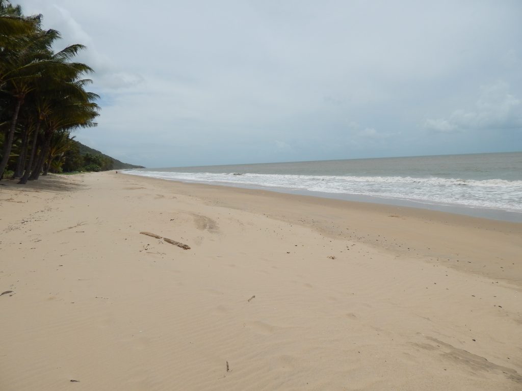 North side of the beach at Unity Reef