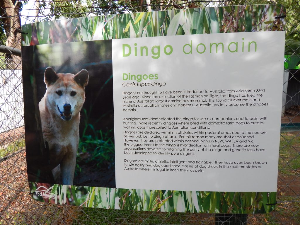 Dingo sign at Rockhampton's Botanical Gardens