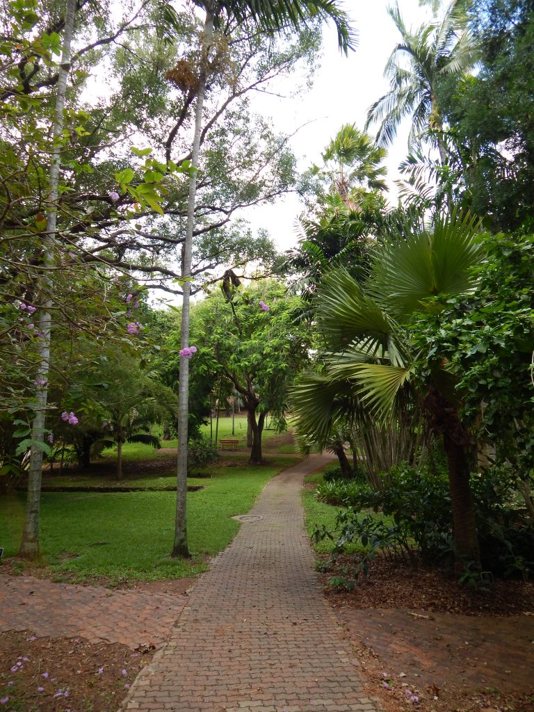 trails in Rockhampton's Botanical Gardens
