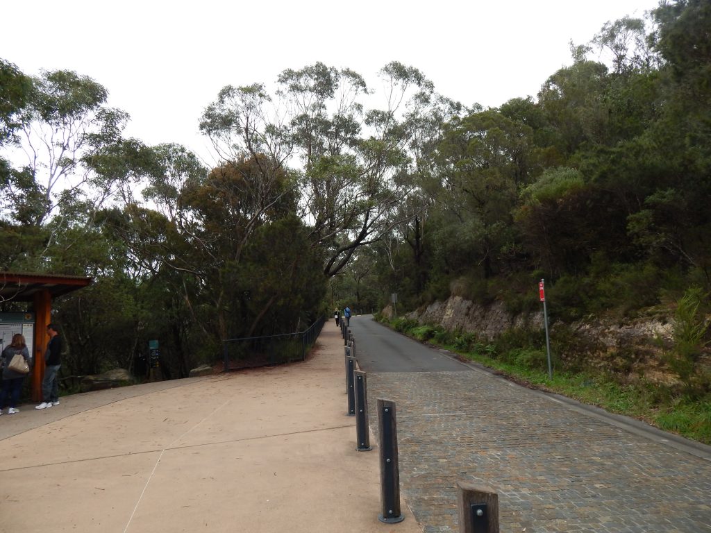Road towards Wentworth Falls parking