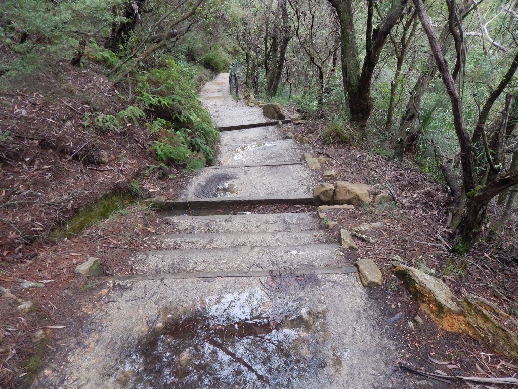 Trail of the Wentworth Falls track