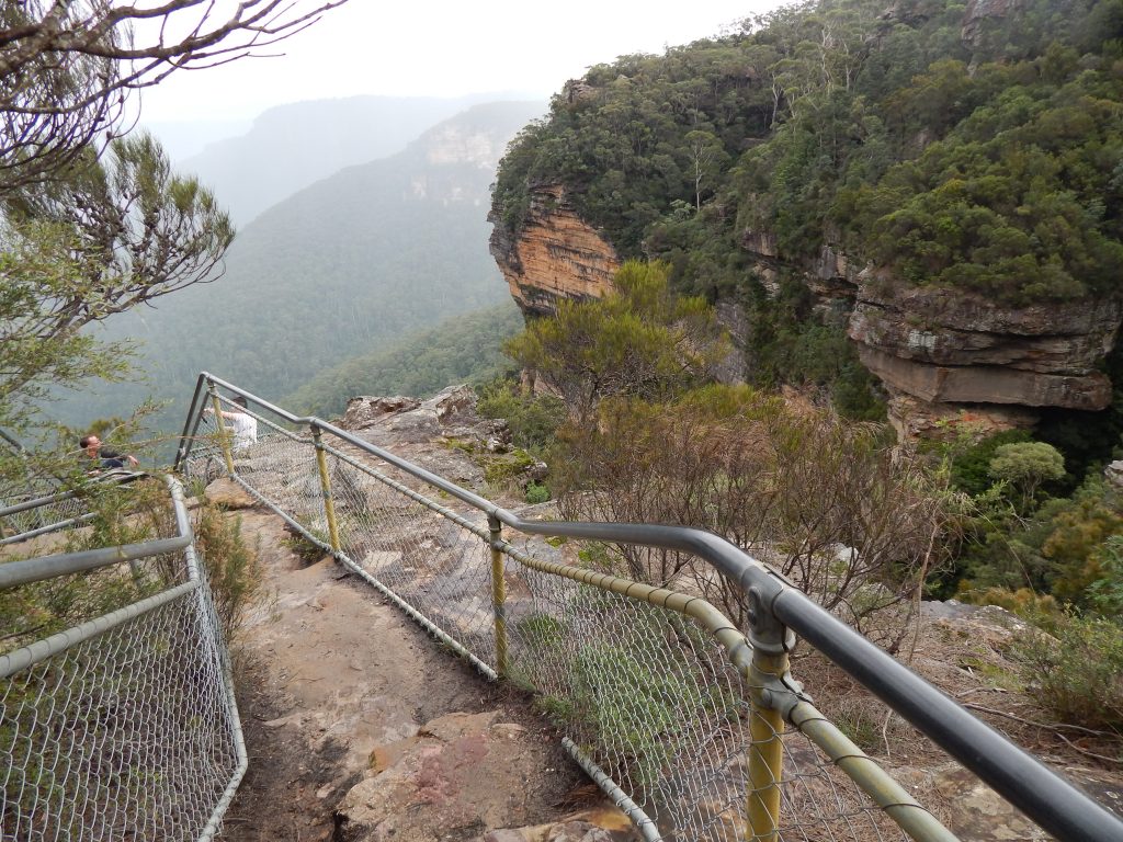 Trail leading to Fletchers lookout