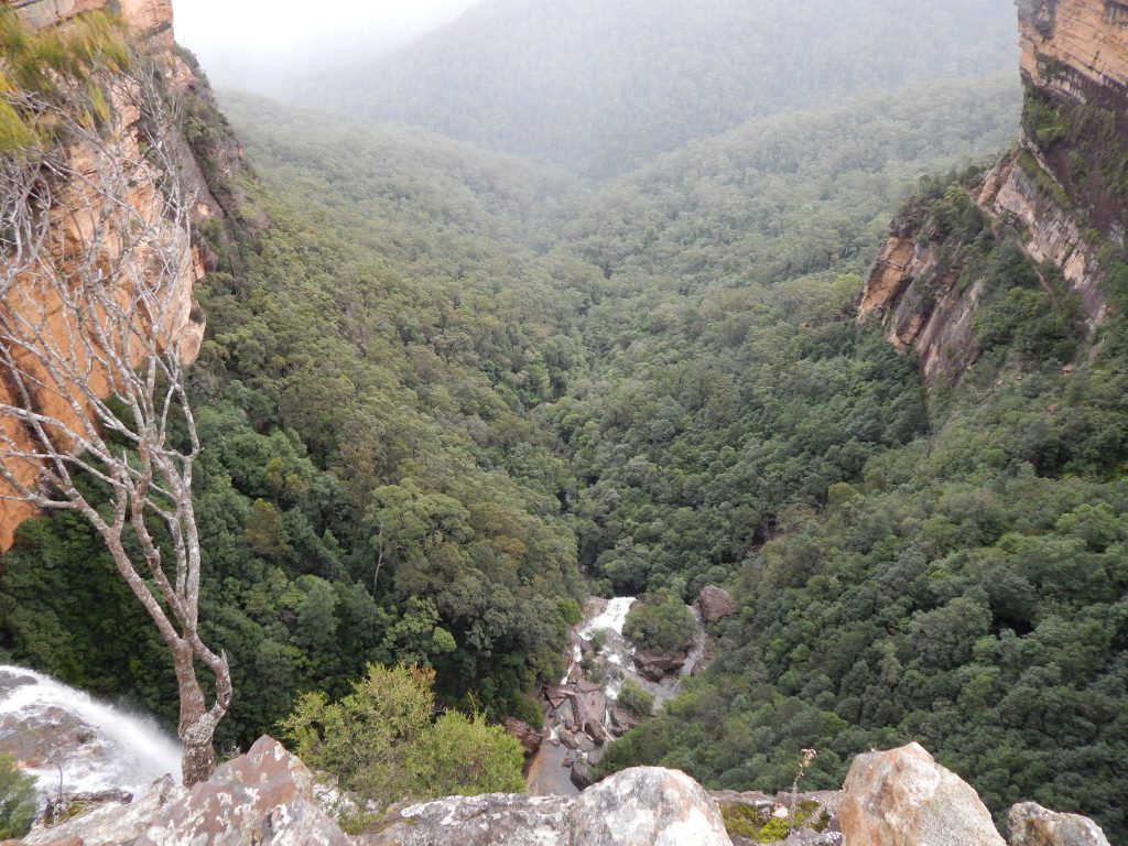 Blue Mountains at Wentworth Falls track