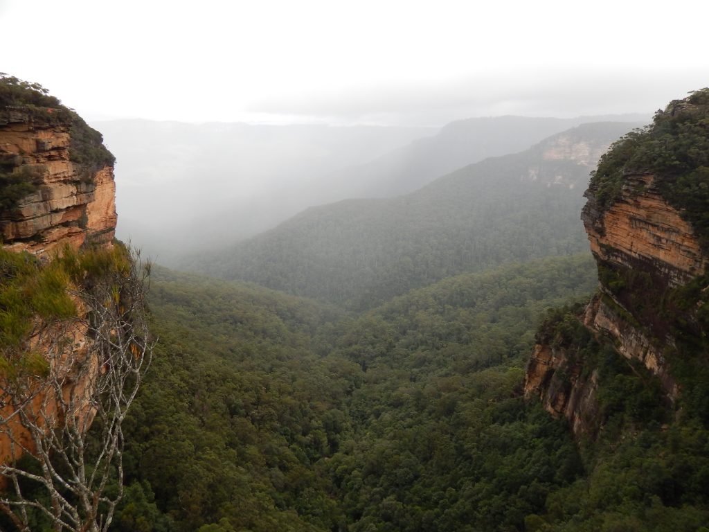 Blue Mountains at Wentworth Falls track