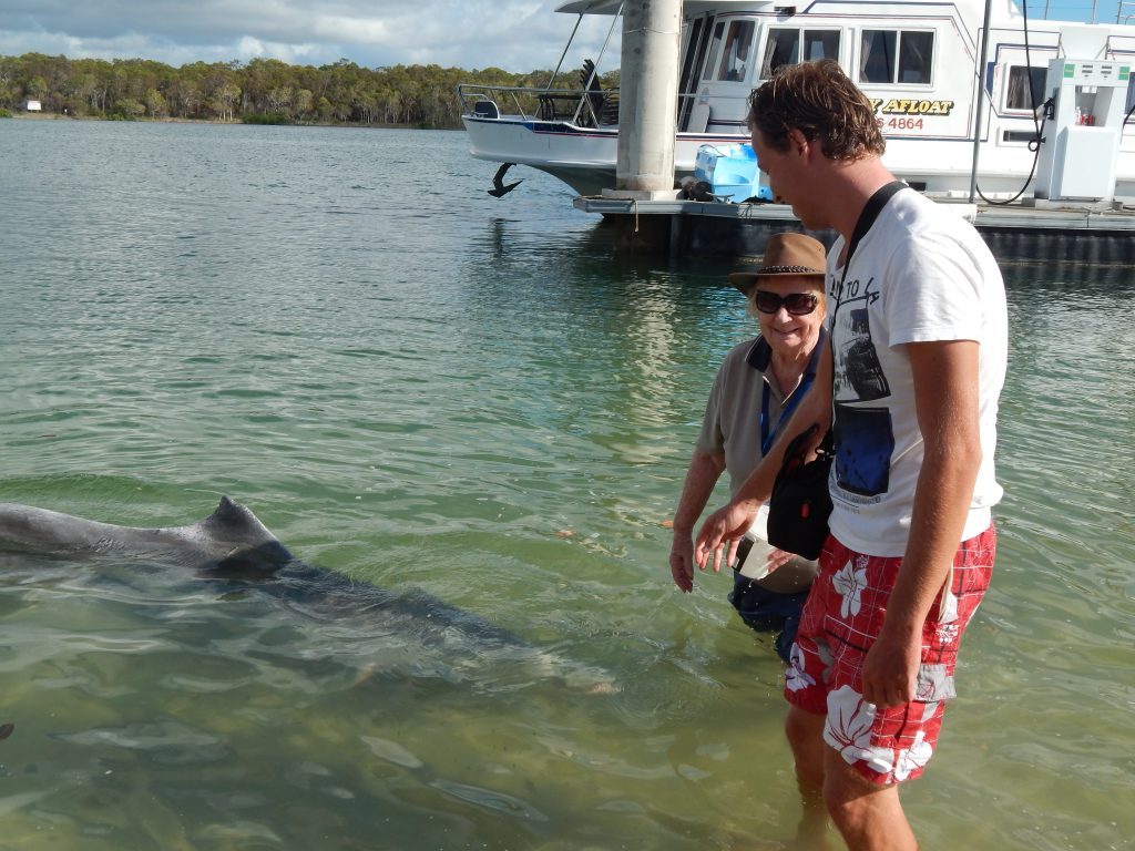 Maarten feeeding a dolphin in Tin Can Bay