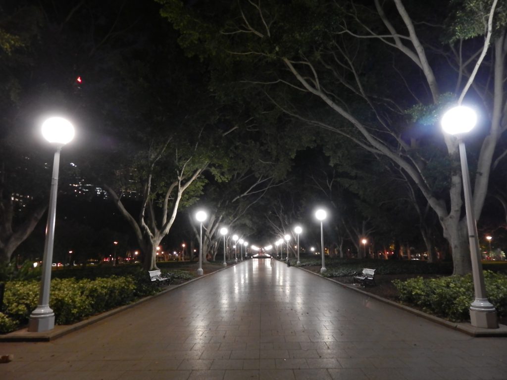 Hyde park at night, Sydney