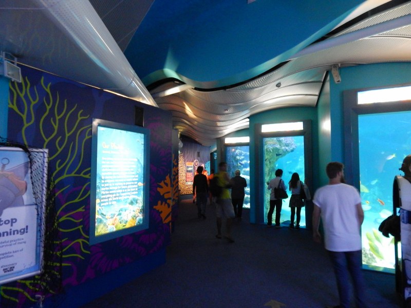 Corridor at SEA LIFE Sydney Aquarium