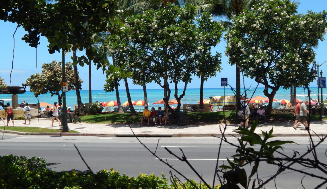 View at Honolulu boulevard from Eggs 'n Things